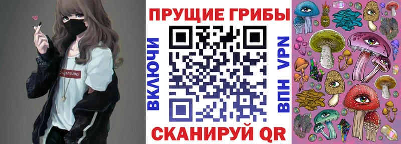 мега как войти  Кстово  Галлюциногенные грибы мухоморы 