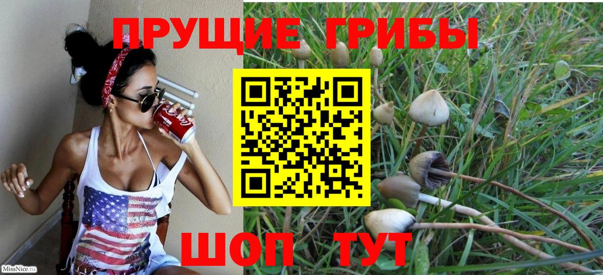 Галлюциногенные грибы Magic Shrooms Кстово