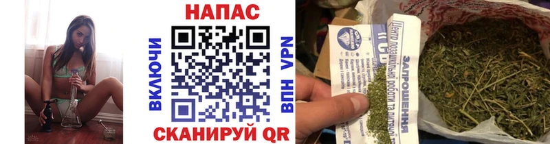 где купить наркоту  mega как войти  shop наркотические препараты  Кстово  Каннабис SATIVA & INDICA 