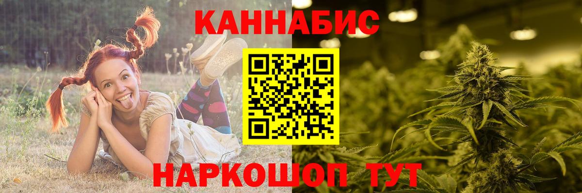 Шишки марихуана планчик  Вход с VPN  Конопля индика  Кстово 