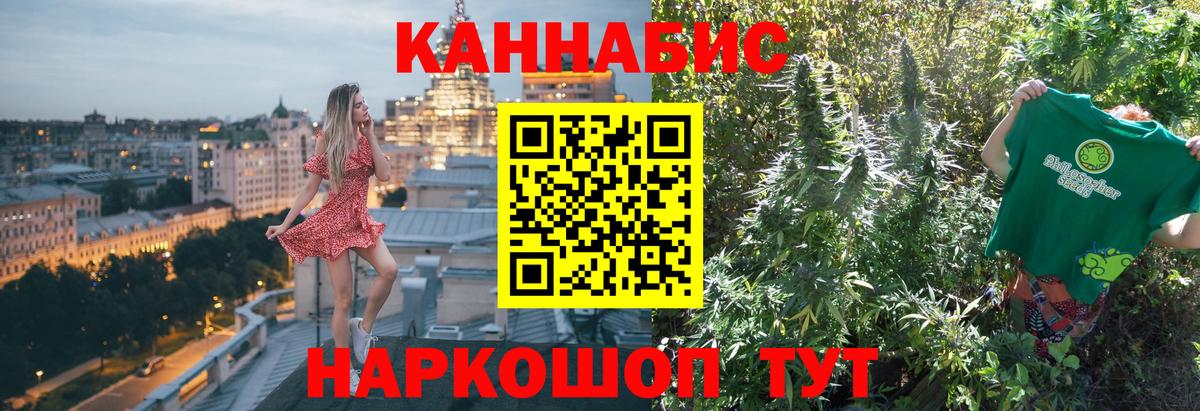 Бошки Шишки планчик Кстово